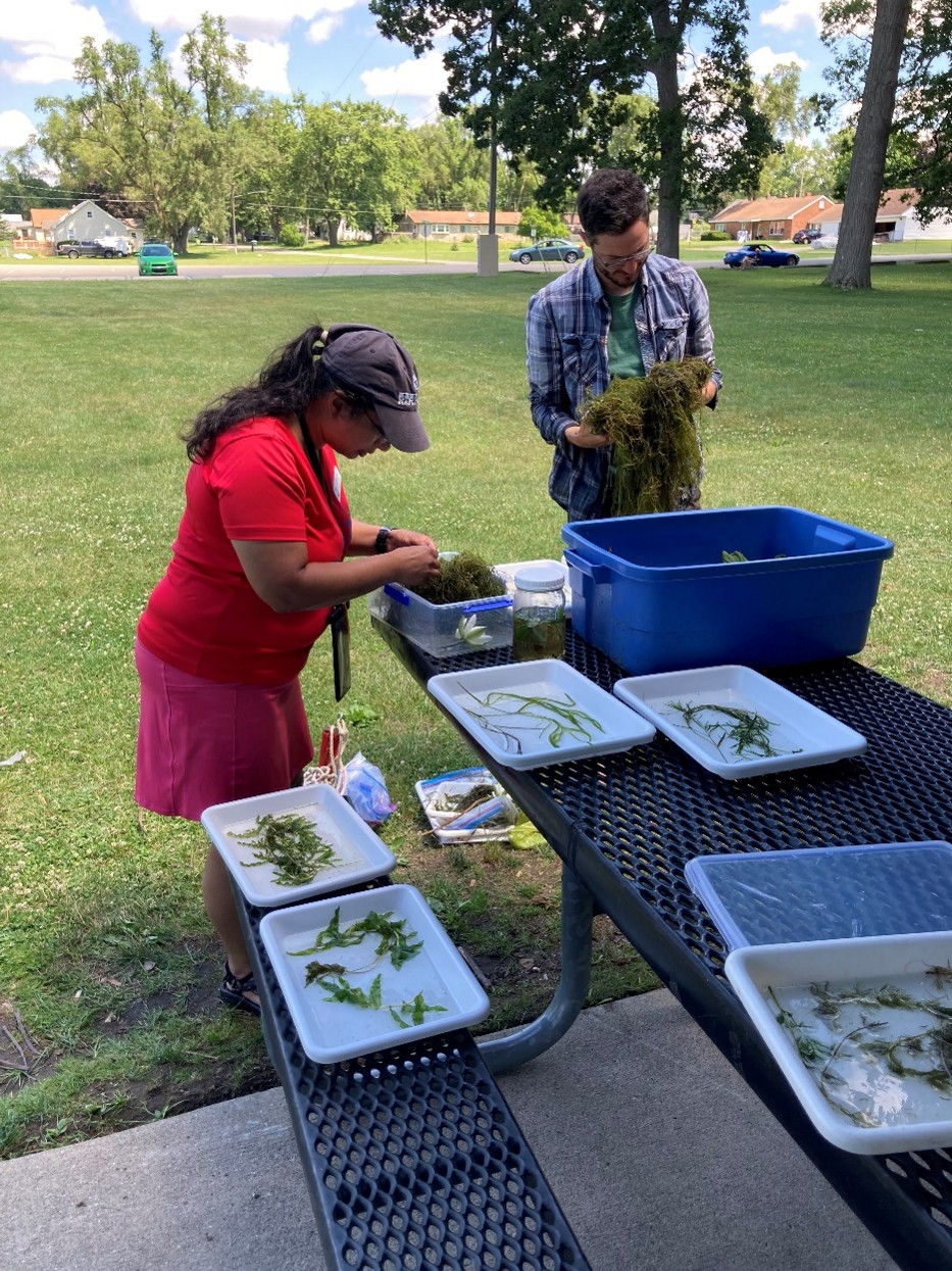 Mipaddle stewards art 2.jpg